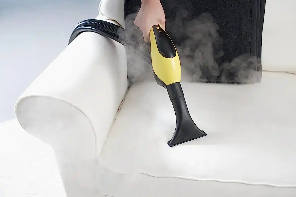 Koltuktan Kedi Çişi Kokusu Nasıl Çıkar?