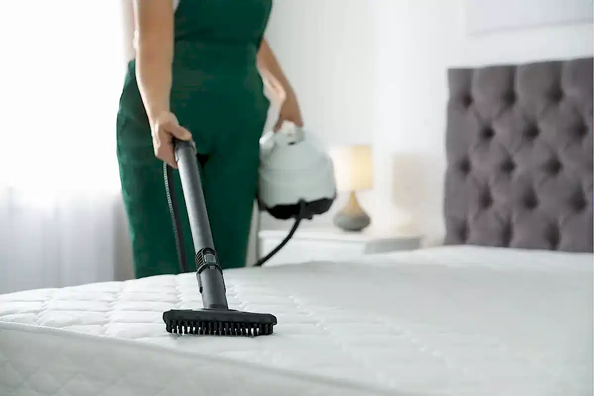 Yataktan Kedi Çişi Kokusu Nasıl Çıkar?